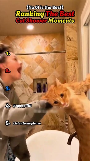 CAT SHOWER | RANKING MOMENTS #shorts #ranking