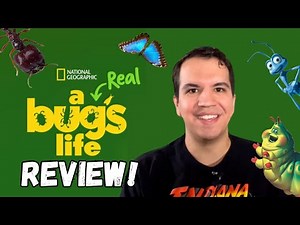"A Real Bug's Life" Review