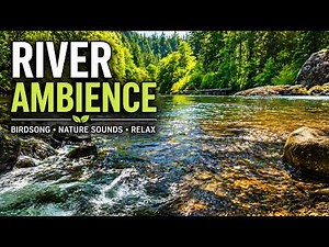 Peaceful River & Birdsong 🌿 Relaxing Nature Sounds for Sleep & Stress Relief