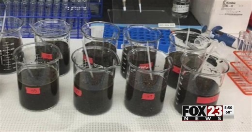 VIDEO: Poppy seed deaths