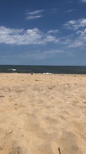 9.1K views · 478 reactions | Virginia Beach  | Visit Virginia Beach | Facebook
