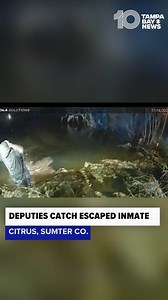 Florida deputies capture escaped inmate who went into pond