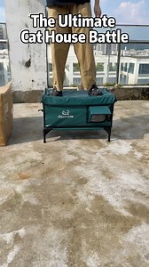 139 reactions · 12 shares | Box vs. Cat House Showdown!  See what happens when we step on a regular box vs. our sturdy heated cat house!  #clawsable #CatHouseDurability #cathouse #heatedcathouse #OutdoorCats #FeralCatCare #cozycats #catshelter #catloversclub #catproducts #feralcats #catshelter #rescuecat #straycat #wintercats #shelter | Clawsable | Facebook