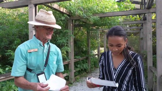 $5 Million Short: Audubon's Corkscrew Swamp Sanctuary works to revamp