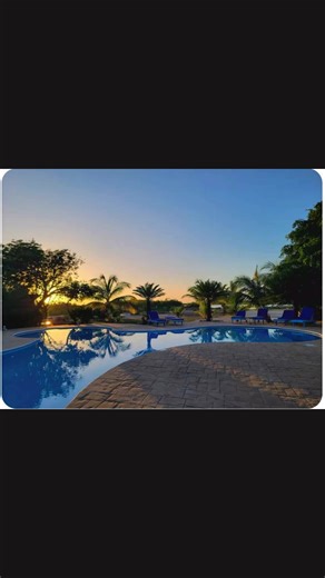 brahmabluebelize on TikTok