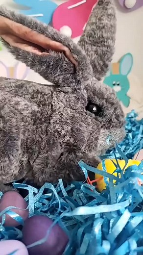 Gray Bunny Rabbit is a favorite of the season and features buttery soft skin, a sweet face and velvety ears that come alive with movable mouth and all four legs. 🎥: @knotty.redfox 🎶: @laurieberknerband . .. ... #puppetlove #Folkmanis #HandleWithFun #folkmanispuppets #bestpuppets #puppets #handpuppets #fingerpuppets #awardwinningpuppets #creativeplay #imaginativeplay #puppetsofinstagram #socialemotionallearning #openendedplay #playyourway #playmatters #puppetplay #Easter #giftideas #bunnyhop | 