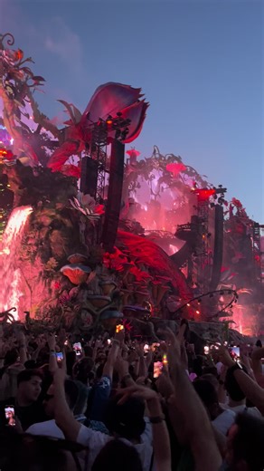 Tomorrowland 2024: Armin van Buuren Live Performance