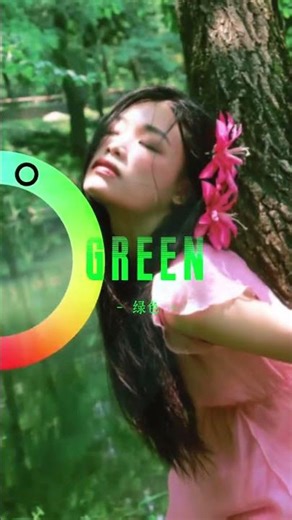 Unveil Your Favorite Colors with the Color Wheel Magic