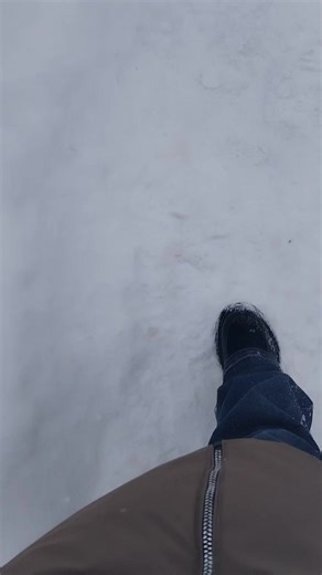 windows cat:3 (@windows_cat3)’s videos with Снег идёт - Глюк'oZa