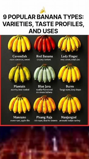 🍌9 Popular Banana Types: Varieties, Taste Profiles, and Uses