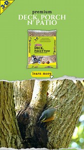 The unique “yank-yank” call of the Red-breasted Nuthatch has often been noted by bird enthusiasts to resemble the sound of tiny horns being honked from afar. Attract these little bundles of energy to your backyard feeders by filling them with our Deck, Porch N’ Patio mix: https://www.3dpetproducts.com/products/deck-porch-n-patio/ | 3-D Pet Products