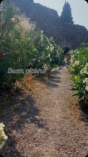 Sergio Cobelli on Reels