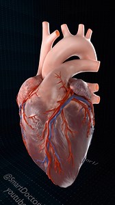 966K views · 7.3K reactions | Close Up of a Beating Heart | (Full) 變...