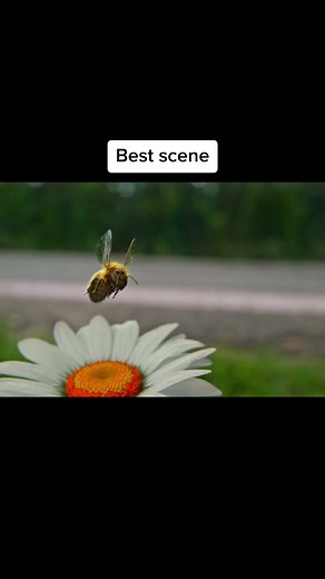 Movieclips on TikTok