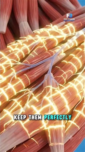 Why Your Muscles Shake During Exercise