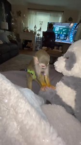 I love watching him play with his toys, but the way he loves on and kisses his dolls and stuffies is just the Sweetest 🥰❤️ | Life With Jobi