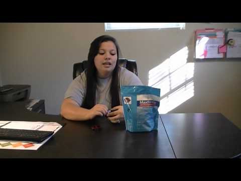 Maxforce Ant Bait Stations for Ant Control