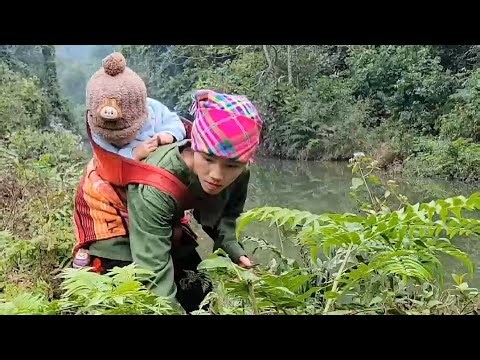 Single Mother Picks Wild Vegetables to Survive & Raise Her Children Alone 💔🌿