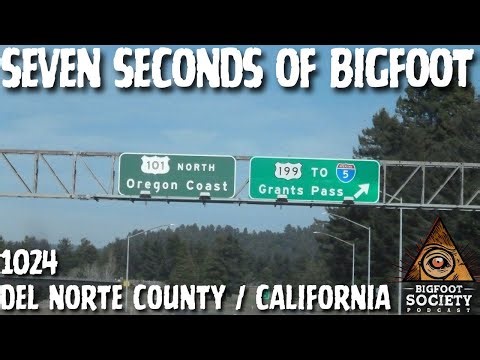 I Drove Past Something Massive on a Dark California Mountain Road | Bigfoot Society 1024