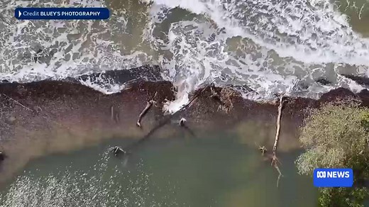 Authorities inspect battered tip of Bribie Island after Cyclone Alfred swells subside