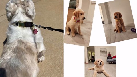 Heavy Duty Door and Window Awning Canopy with Aluminum Brackets – All-Weather UV and Rain Protection Overhang for Front Door, Window, Porch, Balcony, Patio Entrance