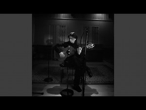 Art of Guitar (Live)