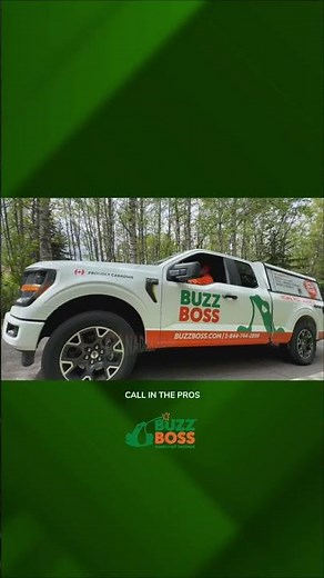 Emergency Wasp & Hornet Nest Removal | Fast, Safe Pest Control Calgary, Edmonton, Saskatoon, Regina