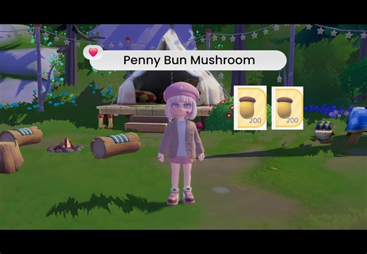 Quick Guide to Penny Bun Mushroom Farm
