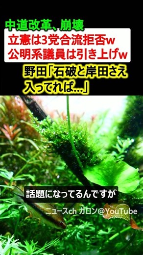 中道改革、公明党が引き上げ崩壊w →野田「石破・岸田さえ入ってれば…」