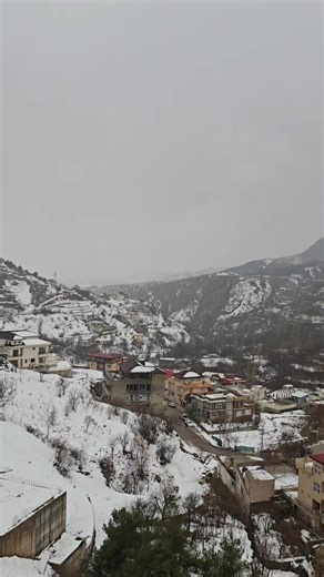 فيديوهات أنشأها hakar hakari (@hakar.hakari6) باستخدام الصوت الأصلي - Zilan Dilan