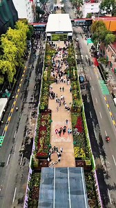 Inauguración Utopía Flotante Calzada de Tlalpan — CDMX histórica