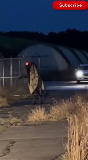 Mothman Spotted Near Factory at Night? Creature with Huge Wings and Red Eyes