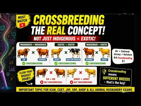 Crossbreeding Explained | Is Indigenous × Exotic the Only Crossbreeding? 🤔