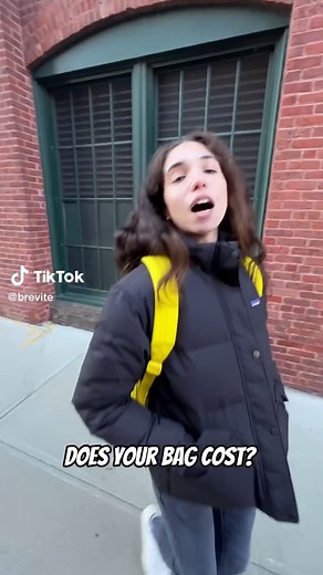 Brevite Backpack: Worth Every Penny!