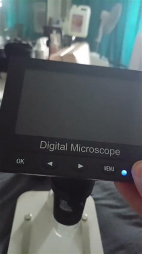 Microscope & Windows 3.1 #microscope #windows3 #windows #microsoft