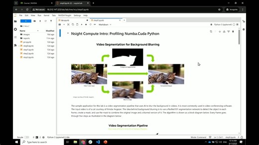 人工智能及其他领域内核优化：解锁Nsight计算能力DLIT