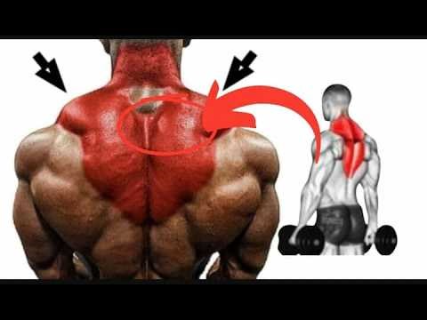 How to Develop Massive Trapezius Muscles in Weeks