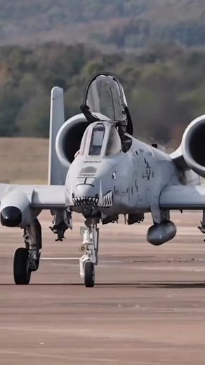 A-10 Warthog — The Sky’s Meanest Beast 🐗🔥 #aviation #aircraft #A10 #A10Warthog
