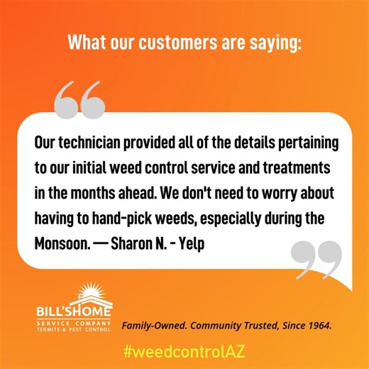 With Bill’s, you get expert service and a clear plan for ongoing treatments, so your yard stays beautiful year-round. 🌵✨ #weedcontrol #weedcontrolAZ #desertweeds | Bills Home Service Company Pest & Termite Control