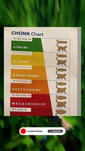 This Chonk Chart Is TOO Real 😭