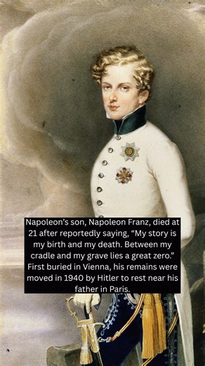 The Forgotten Heir #napoleon #legacy | The Historian's Den