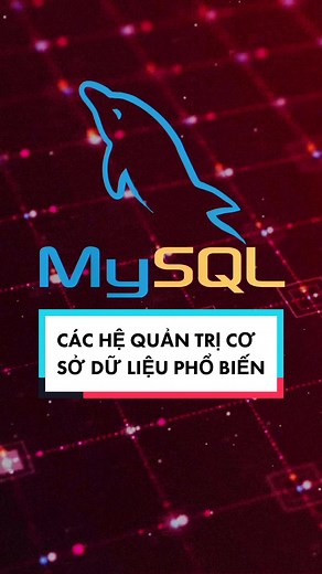 7 hệ quản trị Cơ Sở Dữ Liệu phổ biến nhất tính đến năm 2022