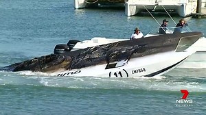 8.4K views · 59 reactions | A father has told how he and his son were forced to flee their burning superboat after a dramatic collision off Hervey Bay. The pair was competing at the weekend Offshore Championships when their fuel tank burst into flames. www.7NEWS.com.au #7NEWS | 7NEWS Brisbane | Facebook