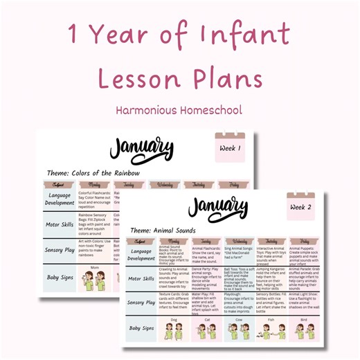 1 Year Infant Curriculum Bundle: 12 Months of Lesson Plans, Baby Sign Language & More - Etsy