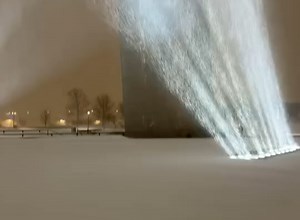 Elation Professional on Reels