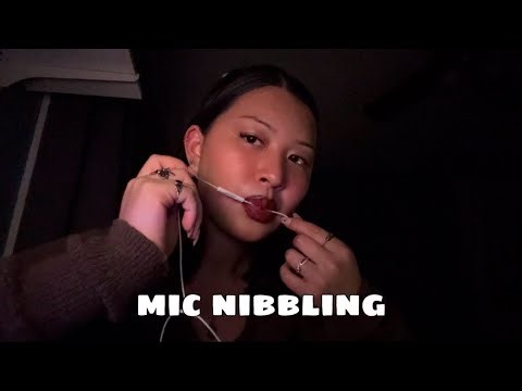 ASMR | lofi mic nibbling