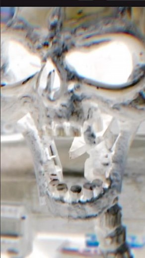 How to build a skeleton from scratch