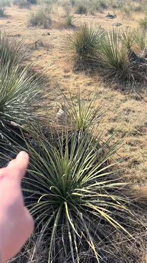 Signs Your Child Might Need Glasses