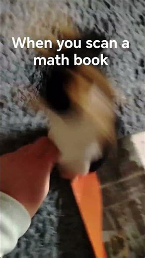 When you scan a math book