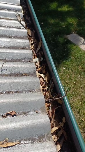 Keep your home clean and protected 🏡 Contact us today for more info on our services | Pressure Washing Sydney